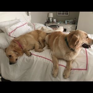 Meet your Posher, Barbara